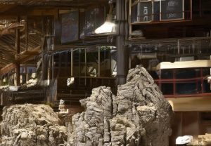 哈兰德：从天才少年到足坛巨星的传奇之路与未来展望